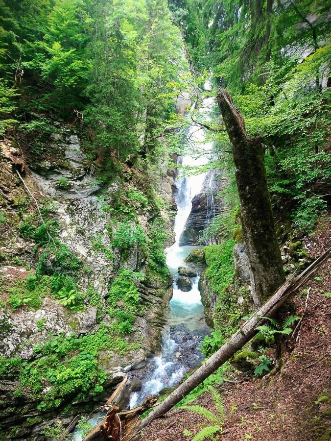 Lachat Appartement En Chalet Typique Le Grand-Bornand Dış mekan fotoğraf