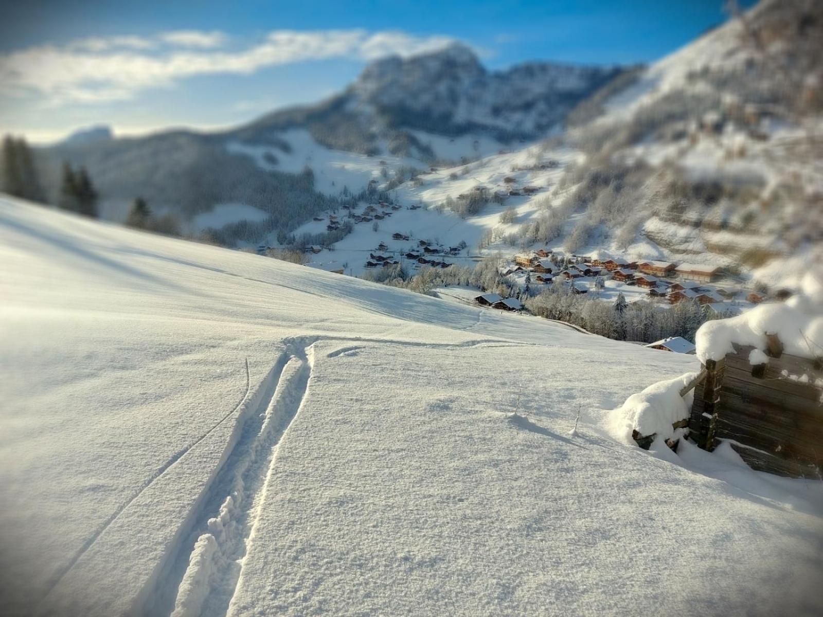 Lachat Appartement En Chalet Typique Le Grand-Bornand Dış mekan fotoğraf